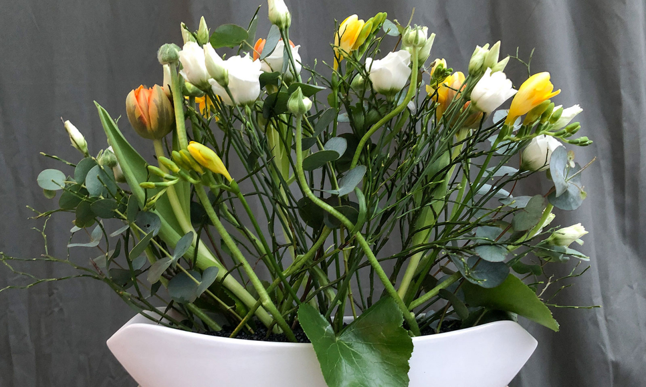 Firmenservice – Blumen Sonn